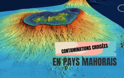 Contaminations croisées en pays mahorais