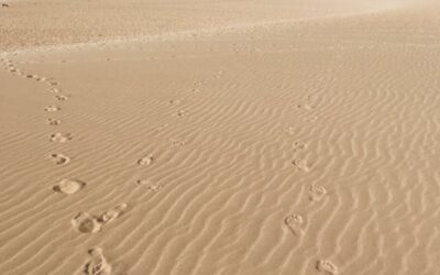 ECUEIL DANS LE SABLE